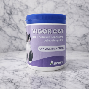 Vigor Cat
