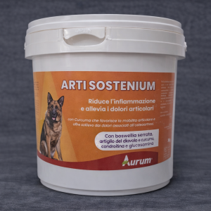 Arti Sostenium