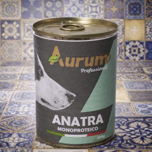 Anatra